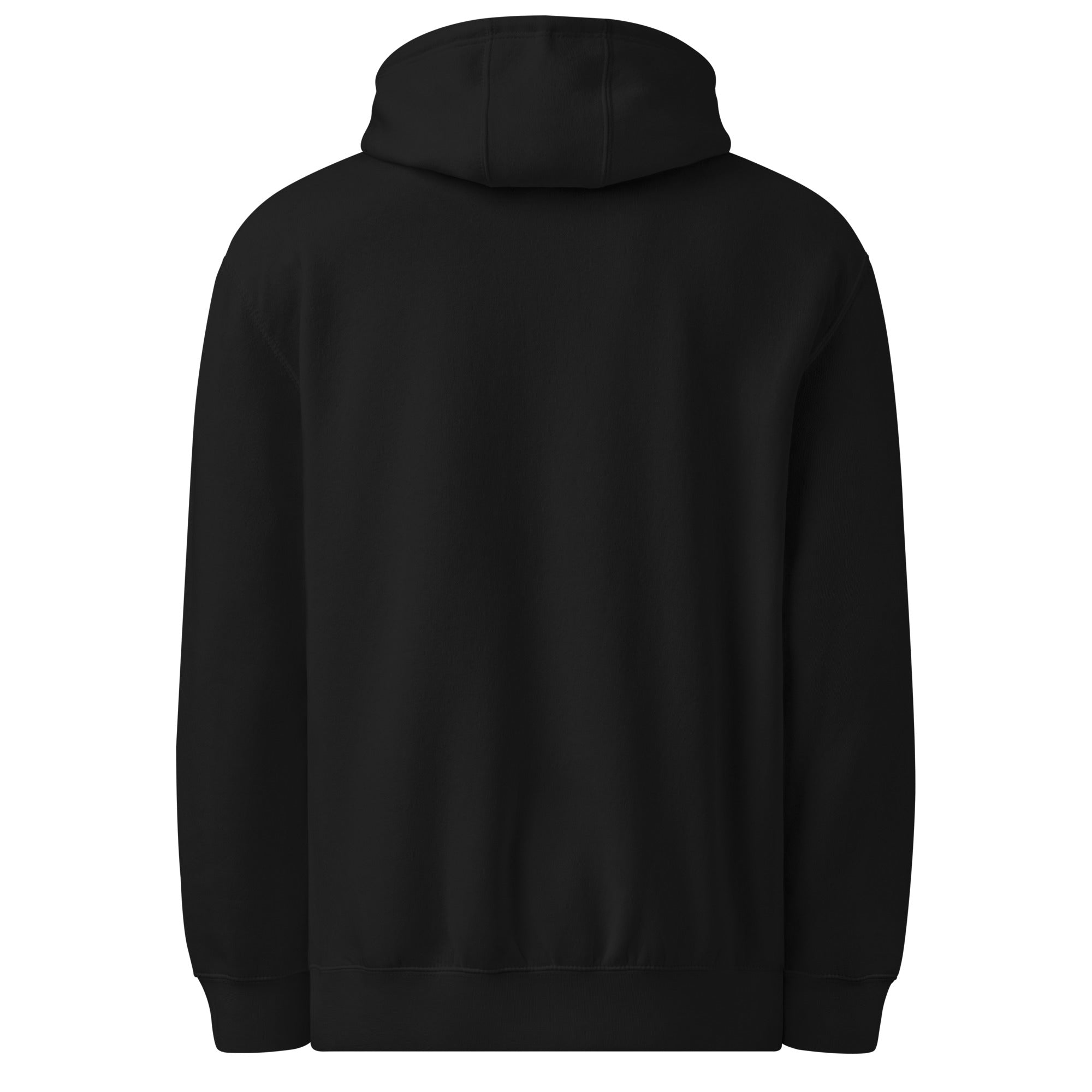 Black hoodie shown from the back on a white background